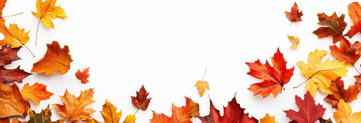 Colorful Fall Leaves on White – Autumn Border