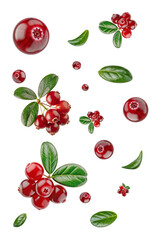 Fresh red cranberries with green leaves scattered on transparent background, top view, isolated for autumn food, Thanksgiving, and commercial design use