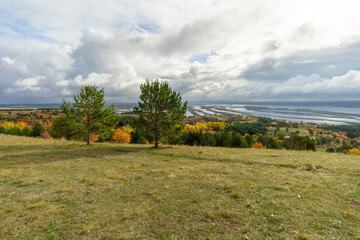 Scenic view of lush green grassland with two pine trees, overlooking a river and colorful autumn...