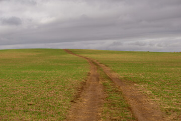 Dirt path winding through expansive green fields under a cloudy sky, leading towards the horizon,...