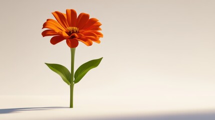A single vibrant orange flower on a stem against a light beige background