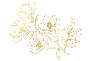 Magnolia Flower Line Art Golden Style.