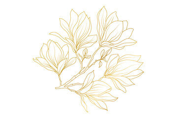 Magnolia flower golden line art isolated background.
