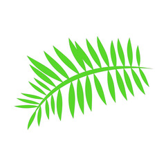 Tropical Green Palm Leaf Illustration on Transparent Backdrop A Vibrant Botanical Element for Summer Designs and Nature-Inspired Graphic Projects and Creative Art