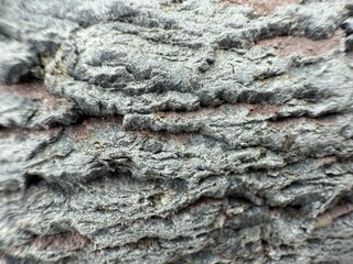 Rough Gray Textured Surface with Varied Shades and Brownish Patches