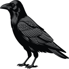 Raven Silhouette Vector – Minimalist Left-Facing Bird Illustration in Black & White