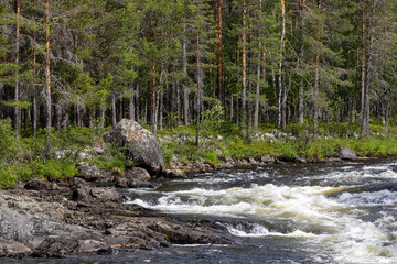 Roaring water at Kittelforsen in Idre, Sweden. Rocks and boulders with forest surroundings.