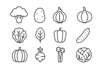 Vegetables line icon set. Healthy food pictogram collection. Vector outline symbols of broccoli, potato, onion, pepper, pumpkin for cooking, diet, and grocery.