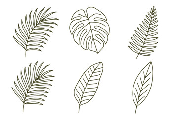 Tropical Leaves Line Art Vector Collection, Botanical Set for Design, Includes Palm, Monstera, Fern, Jungle Foliage, Minimalist Outline, Isolated Nature Elements, Decorative Plant Illustration