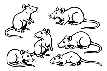 Hand Drawn Vector Rats in Multiple Poses for Pest Control, Animal Behavior Research, Animation Reference, and Educational Design on Transparent Background