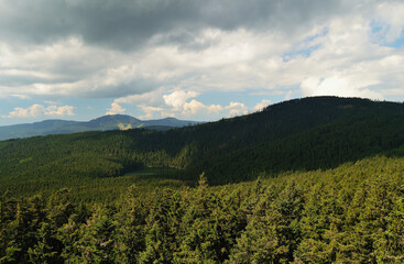Obraz premium Sunlit Forested Mountains in Czech Republic Under Dramatic Clouds