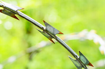 Closeup of razor wire with sharp blades on blurred green nature background