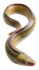 Obraz premium Colorful Stack of Prickly Pear Fruits on a White Background