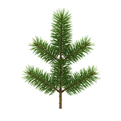 Isolated vibrant green pine branch with sharp needles and brown stems, close-up against a pristine transparent background with no shadows and ample copy space, high-angle shot, ultra-realistic