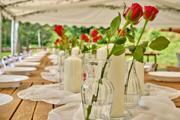 Wedding garden party outdoor with red roses in the vase