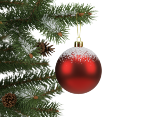 A matte red christmas bauble ornament partially covered with transparent artificial snow, suspended by a golden string from a snow-dusted green fir tree branch with pine needles and brown cones.