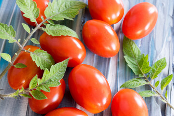 Tomaten frisch und gr&uuml;n