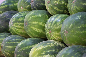 watermelons and melons