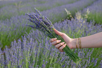 A moment when a carefully manicured hand, adorned with pink flower-patterned nails, holds lavender...