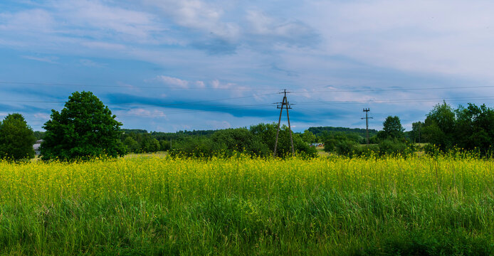 Lush green field with blooming yellow flowers and power line towers in the distance under a dramatic sky. Rural landscape, energy, spring.