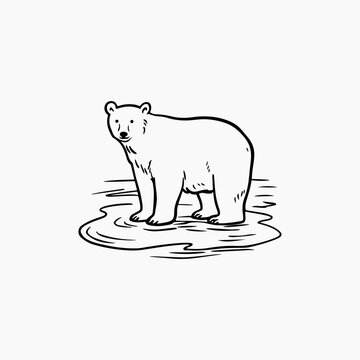 bear retro style design bear lover graphic illustration art