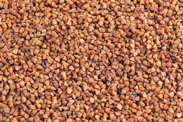 Close-up of brown buckwheat groats texture background