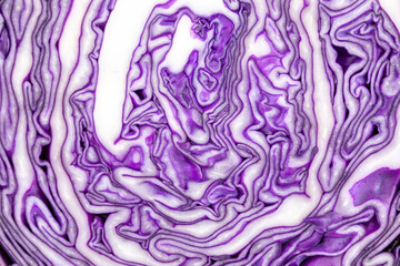 Close-up of vibrant purple cabbage texture with intricate patterns