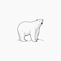 wild animal black bear icon symbol graphic