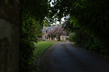 Fototapete bei efototapeten.de bestellen   