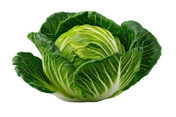 Fototapeta premium 3D Fresh green cabbage with detailed leaf veins on a black background