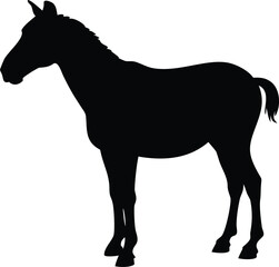 Silhouette of a standing horse, showcasing its profile against a white background.