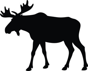 Fototapeta premium Majestic moose silhouette, large antlers, profile view, woodland animal.