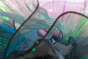Close-Up of Iridescent and Translucent Fabric with Delicate Wavy Patterns – Ideal for Fashion,...