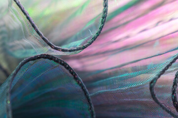 Close-Up of Iridescent and Translucent Fabric with Delicate Wavy Patterns – Ideal for Fashion,...