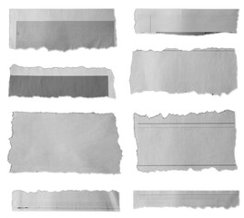 Torn pieces of paper