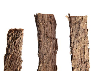 a group of pieces of wood that are next to each other