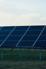 Solar Panel Array Stands on Metal Supports in a Grassy Field