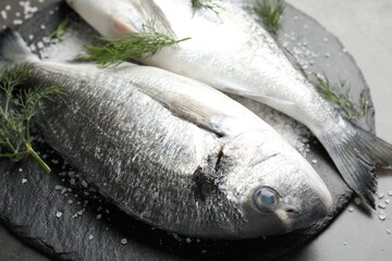 Organic seafood. Fresh raw dorado fish, salt and dill on grey table, closeup