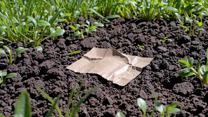 Sustainable Packaging Timelapse Biodegradable Material Decomposing and Integrating with Nature and Soil