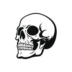 Simple, Realistic And a Side View Human Skull On a White Background.