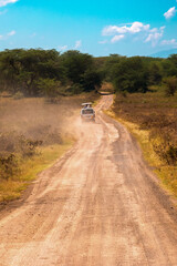 A tour van on a dirt road amidst trees in Lake Nakuru National Park in Kenya 