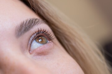 Close-up of a woman's eye after eyelash lamination procedure. 