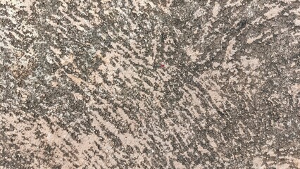 A mottled concrete surface with a mix of light and dark patches creates a textured, abstract pattern. The surface has a rough and uneven appearance.