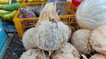 A close-up shows a stack of coconuts with their fibrous husks, set against a blurry background with bananas, mangos, and a yellow basket, highlighting the coconuts' texture and form.