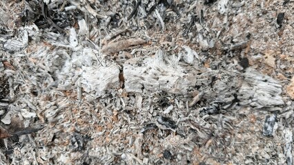 A close-up shows gray and white ashes with bits of charred material, creating a textured, abstract pattern.