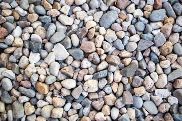 Stone pebbles texture. Background and texture of stone pebbles.