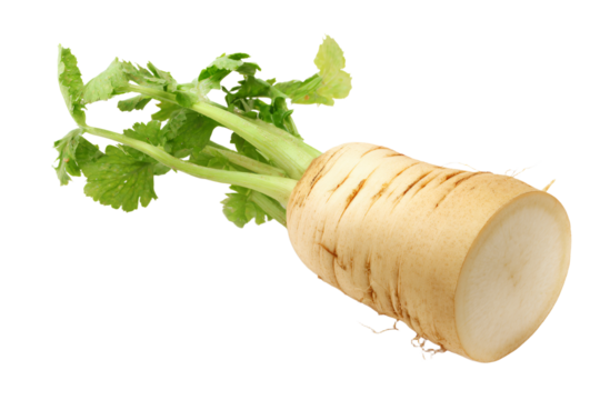 a close up of a carrot with a leaf