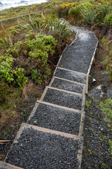 Timber and gravel steps on a bush walk pathway. Bush walks, or hiking in forest, is a popular pastime in New Zealand. This photo was taken in Bluff, Southland.