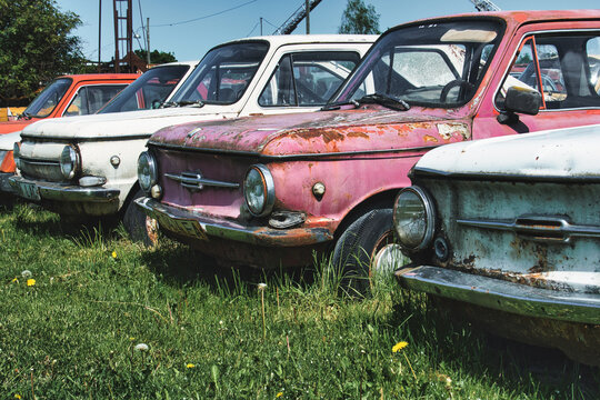Row of Abandoned Soviet ZAZ-968 Cars - Vintage Rusty Vehicles in Estonian Field