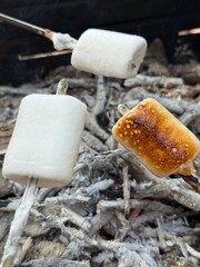 Roasting Marshmallows on Fire